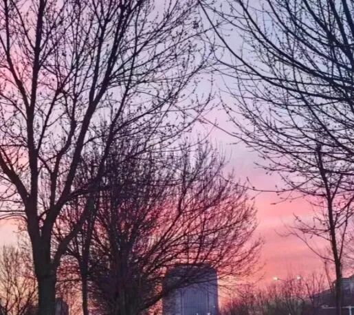 沉浸式！体验侦查人的一天