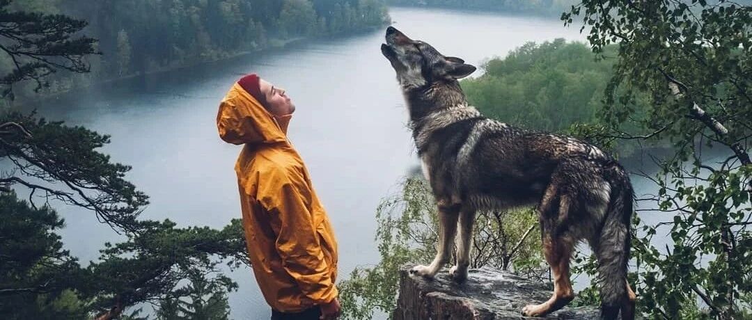 定了！今日起摄影师有这个证书兼职月入将突破2万！不限专业！不限户籍！