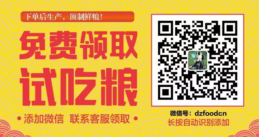 養金毛能治單身，還能「勾引」到小姐姐.... 未分類 第16張