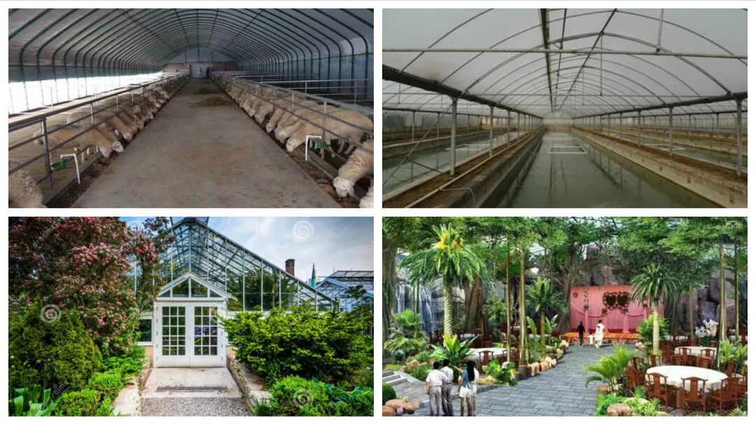 一分钟区别出常见温室类型 温室大棚工程建设就上中国温室工程网电话