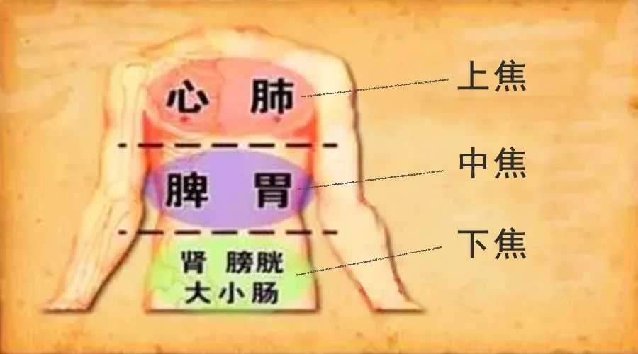 三焦经，人体躯干上的"双向八车道"，重在