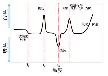 经费告急？DSC成“最香”设备！但用好它的诀窍藏在升温速率、次数等参数选择里的图1