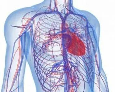 远红外线的作用和功效 远红外线的10大功效