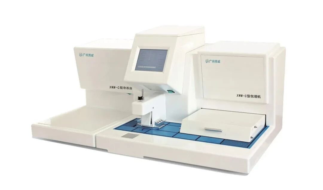 组织块大怎么包埋【1001问】问题100：对特殊组织蜡块（硬、脆、软）有什么好的办法进行处理吗？_https://www.jmylbn.com_新闻资讯_第4张