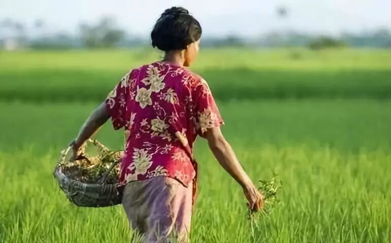 柬埔寨2019年行业发展报告：最值得投资的10大行业