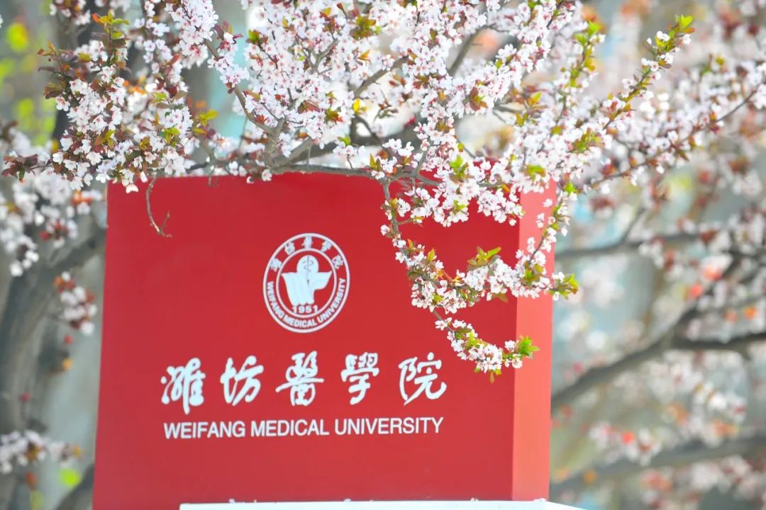 潍坊医学院百科_潍坊医学院官方网_潍坊医学院怎么样