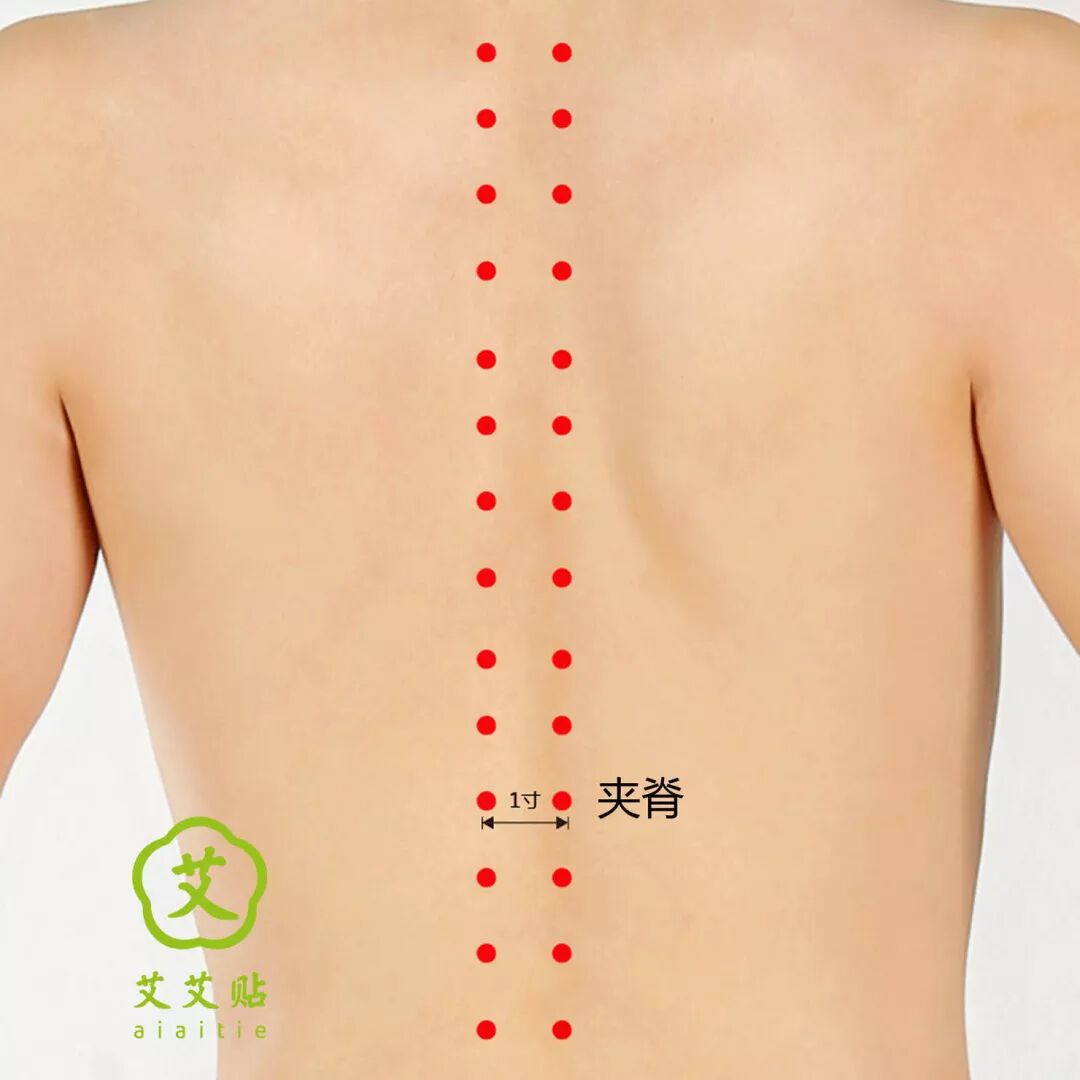 中国崇龙习俗_龙抬头的习俗_御龙在天龙啸抬头