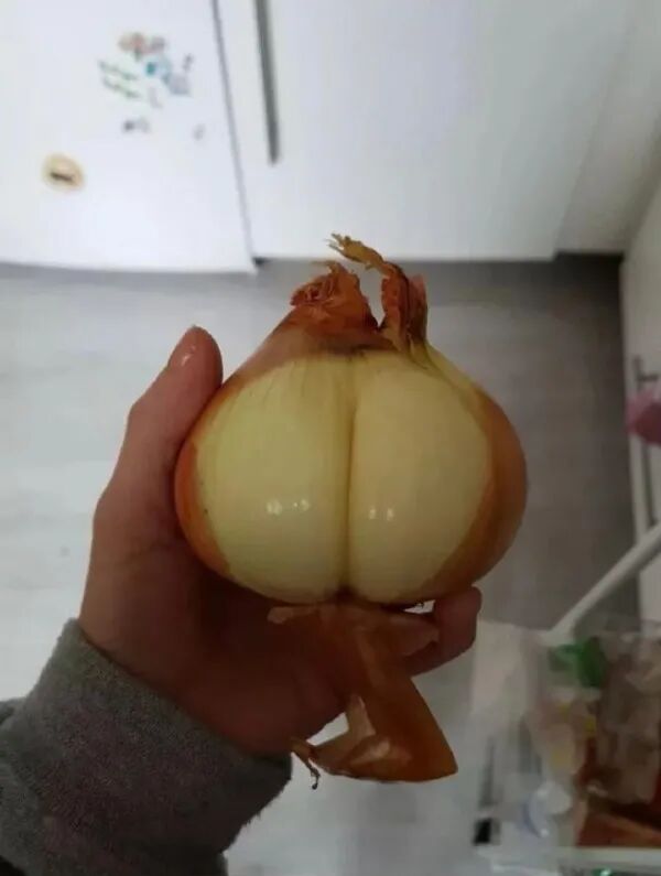 岛国女老师圣诞大合体