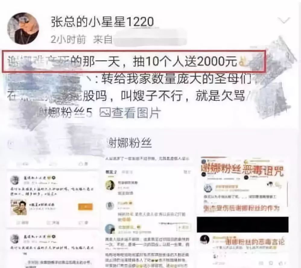 謝娜被曝出軌助理？爆料者竟是張傑粉絲！詛咒謝娜，諷刺何炅！粉絲：張傑你不出來說句話嗎？ 娛樂 第12張