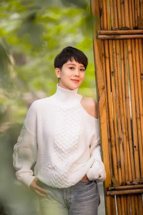 电视主演海清剧全部演员表_海清电视剧大全_海清主演的电视剧全部