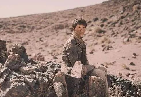 海清电视剧大全_海清主演的电视剧全部_电视主演海清剧全部演员表