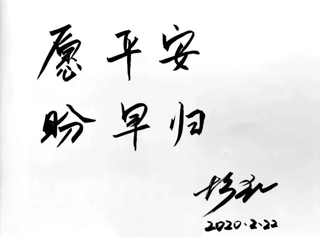 韩红曝光捐赠武汉明星名单：有些人，怕是再也不敢公开做好事了...（组图） - 8