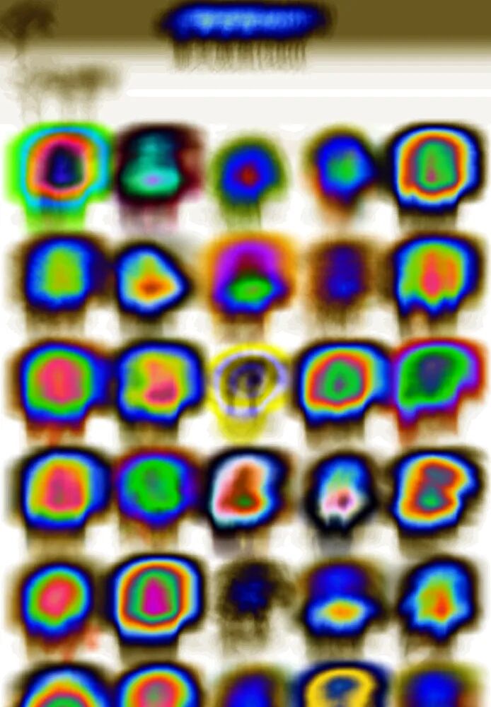 Operation Purple. - This Sunday, the wormhole is open. Body