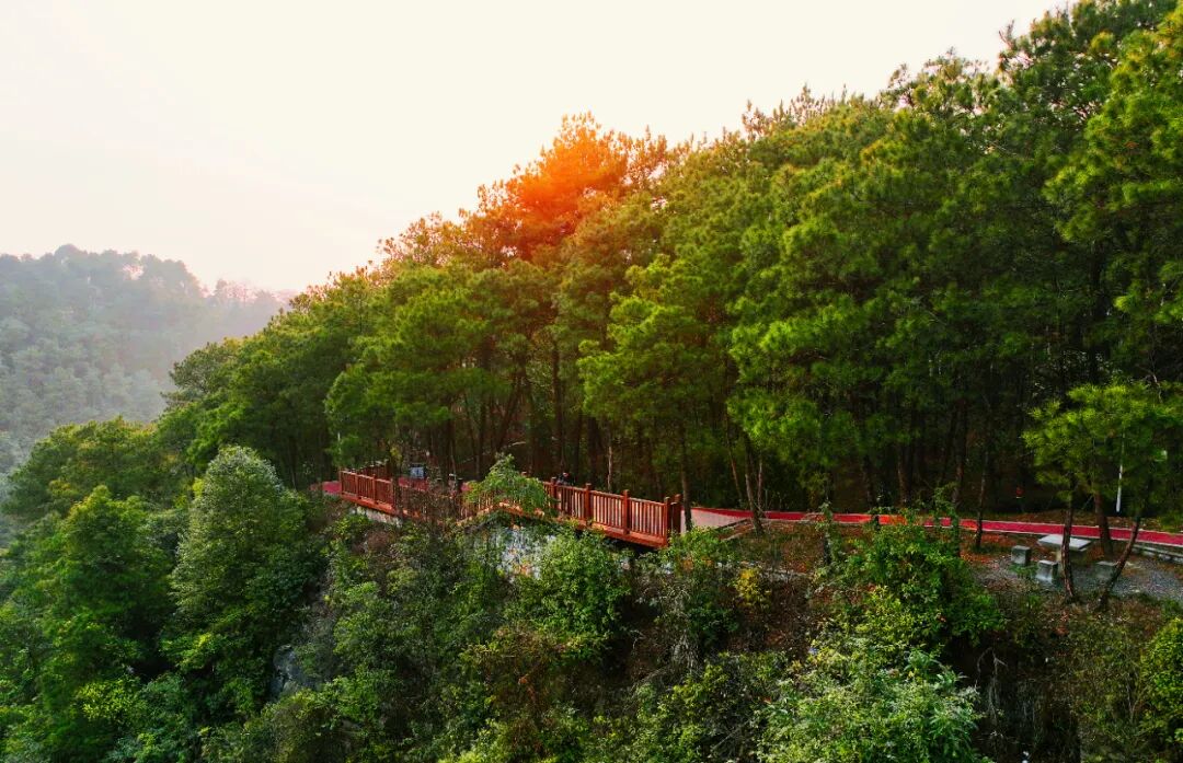 玉峰山森林公园重庆市渝北区玉峰村6社31号(近743县道)云龟山云龟山