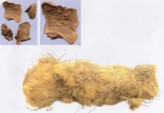 中药一最新彩图终极版（237个）