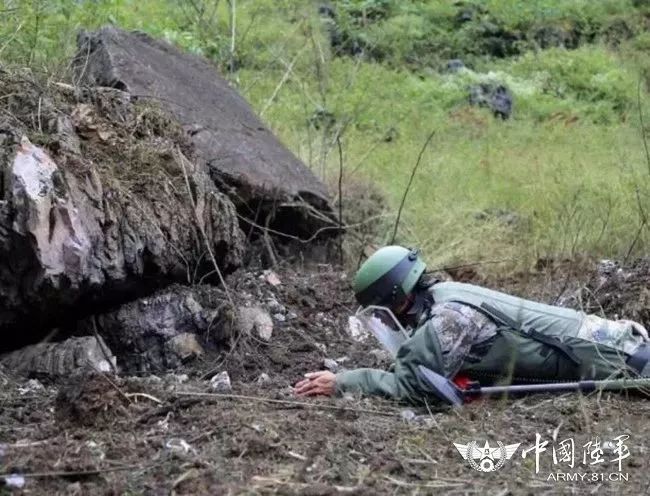 士官|陸軍|新兵_新浪軍事_新浪網