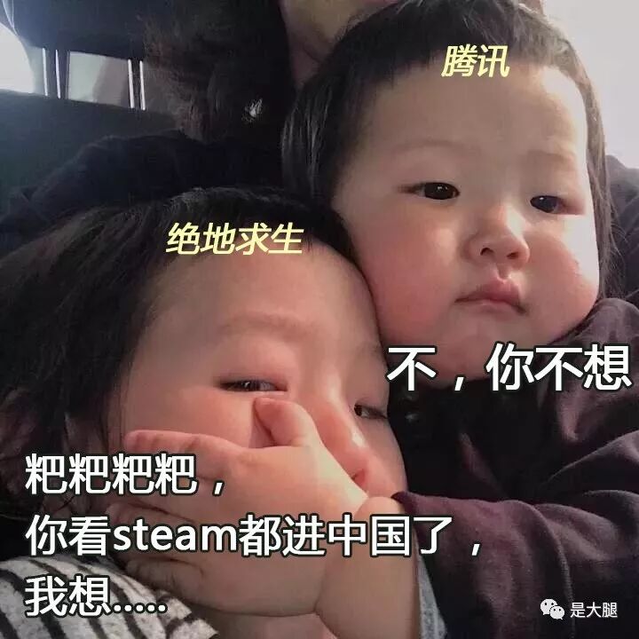 steam落户中国！那《绝地求生》国服岂不也要来了？