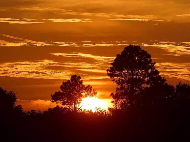 sunrise-in-Africa-725x544.jpg