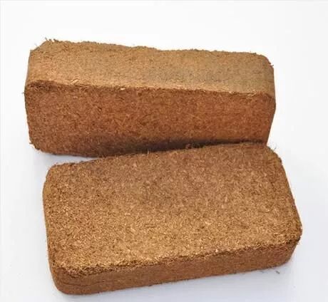 易捷航空官网_易捷航空客服_易捷航服