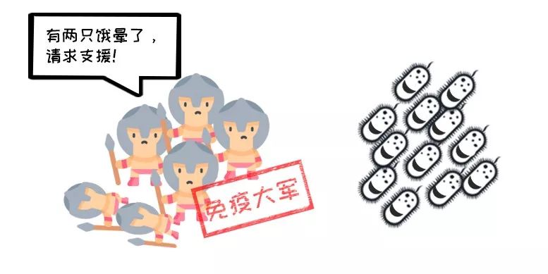 免疫 力 低下 原因 免疫力が低下した女性は 冷え性 になりやすい 原因と解消法 Amp Petmd Com