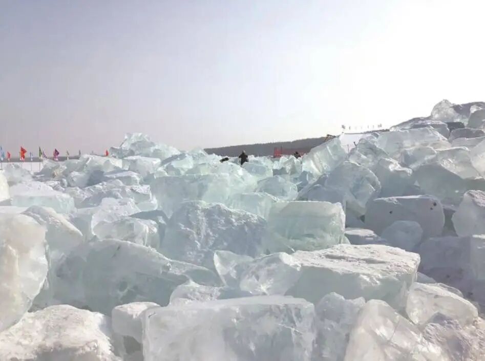 重庆女游客在长春早市吃得香迷糊了