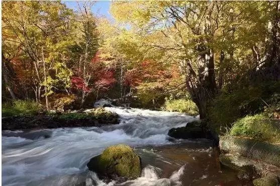 十一 和ta一起去北海道秋季赏红叶吧 众之旅 微信公众号文章阅读 Wemp