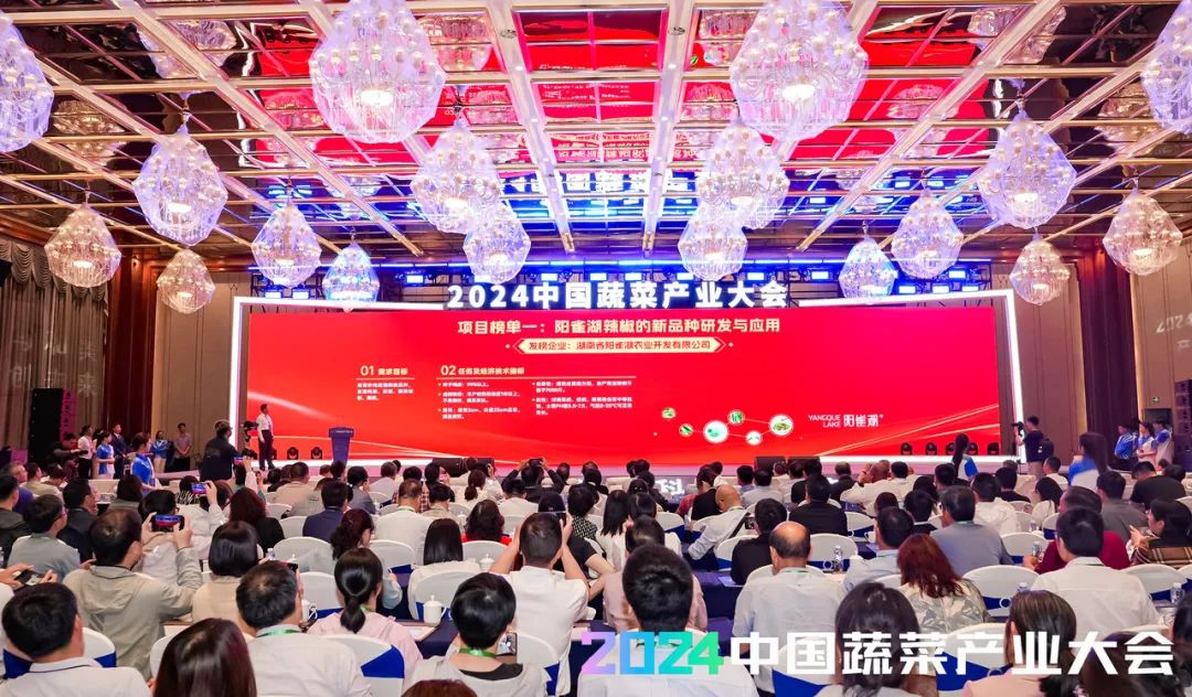 上海,天津,重庆4个直辖市发布了各农业科学院近年来的蔬菜创新成果
