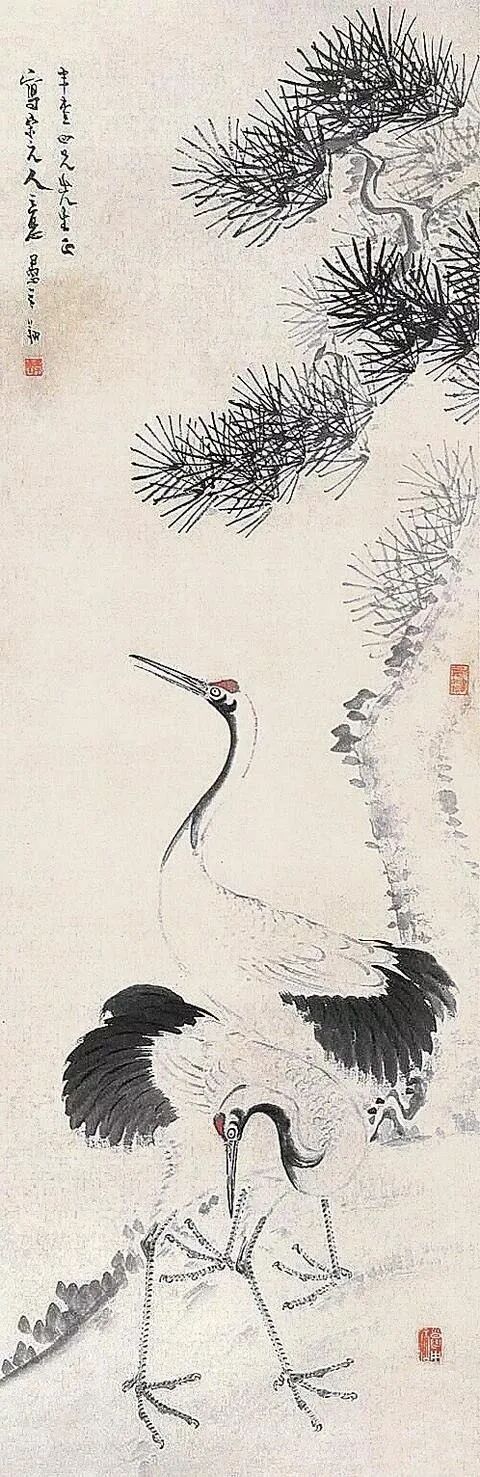 诗中幽禽指的是什么_幽禽诗指中是什么动物_诗中幽禽是指的是