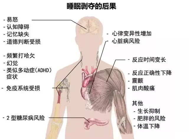 熬夜傷身傷神又傷肝，睡覺不是唯一補救方法，5招減少熬夜後遺症 健康 第4張