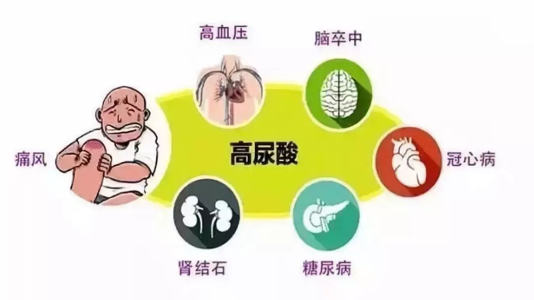 尿酸高多半是吃出来的！不想得痛风，这些常吃的一定要忌口