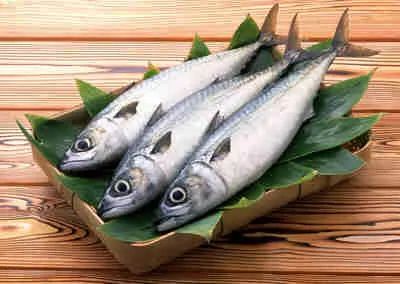 網傳寧波人愛吃的這種魚致癌?吃一公斤等於抽250根煙?真相來了! 健康 第3張
