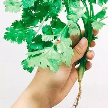 清水煮一宝，小病马上好