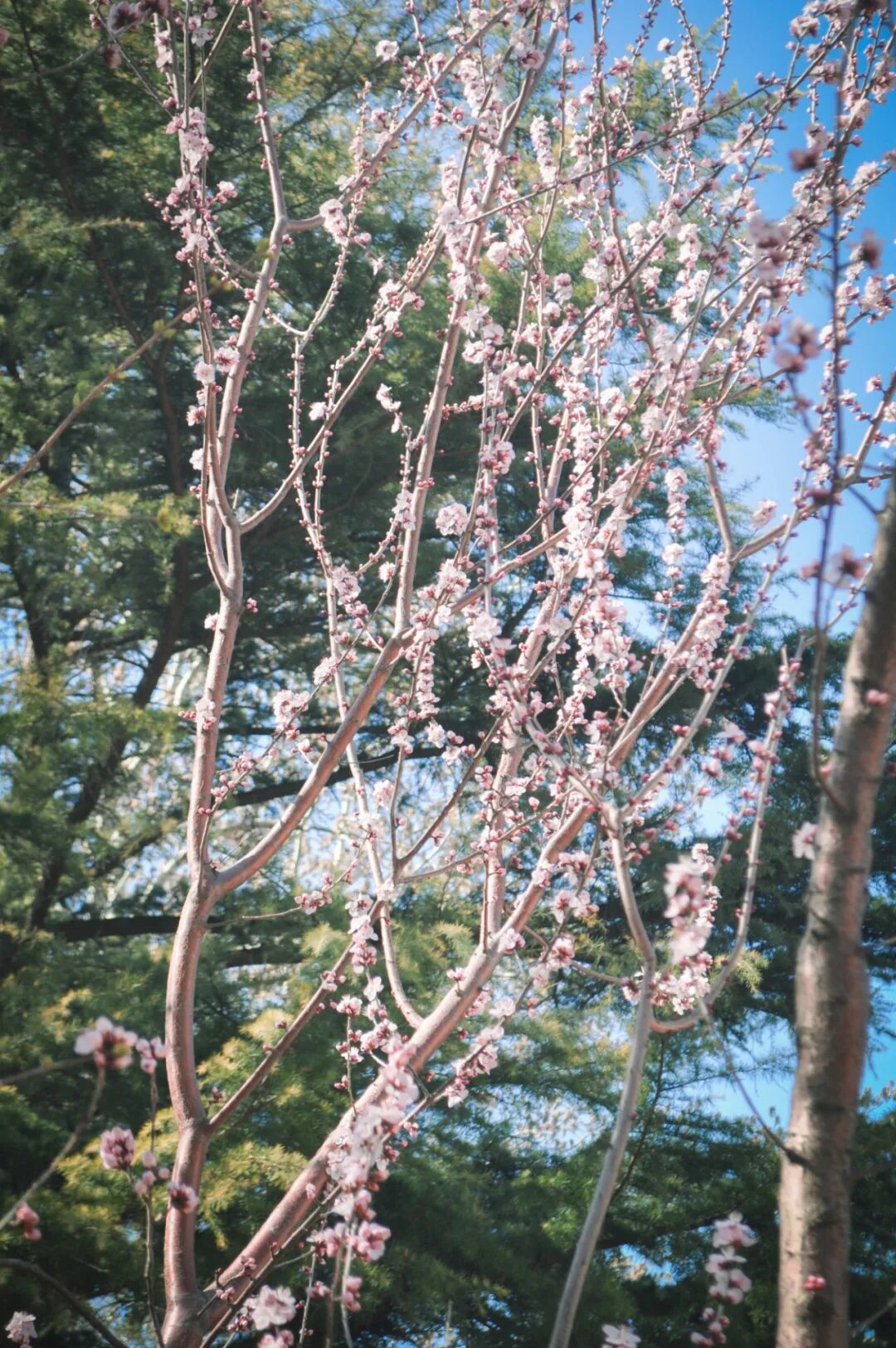 DSC_1078.jpg