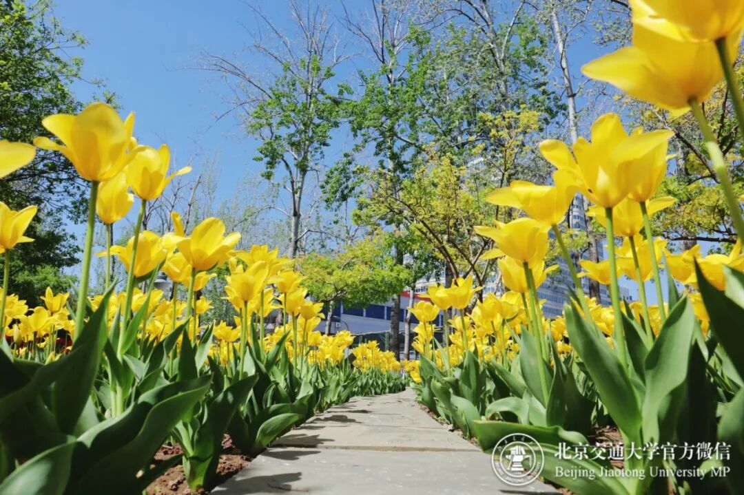 微信图片_20260419160041_122_1.jpg