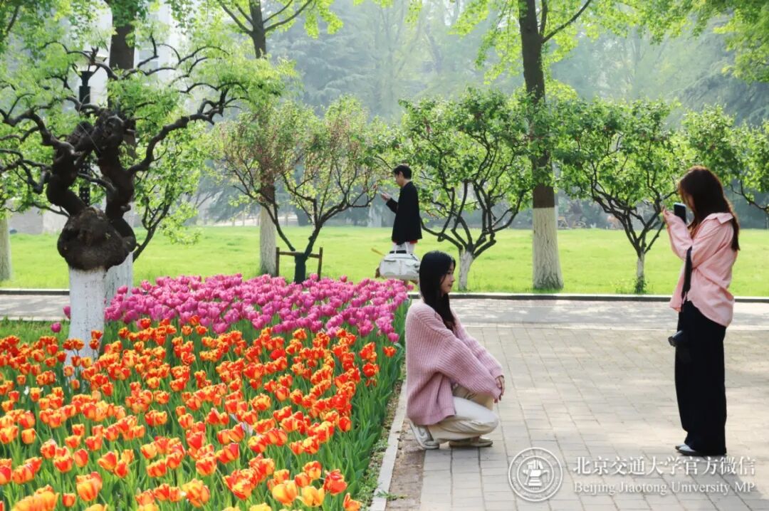 微信图片_20260419161008_155_1.jpg