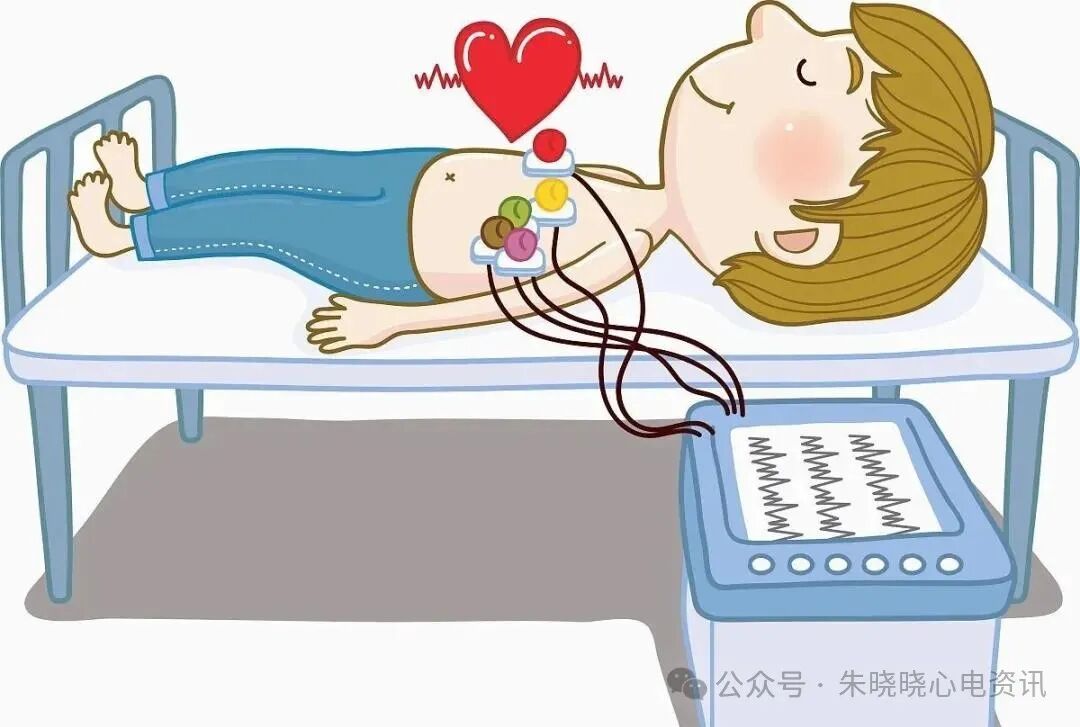 胎儿心电图是什么意思儿童心脏发育与心电图概述_https://www.jmylbn.com_新闻资讯_第8张