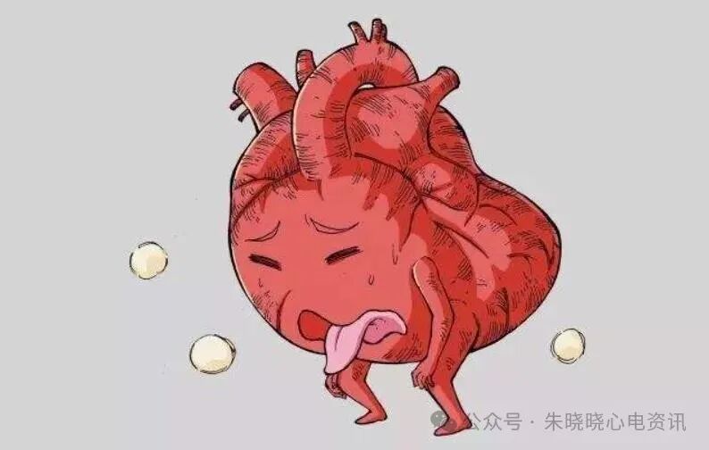 心率变异率怎么测olter（24小时）检测心率变异性指标的评价_https://www.jmylbn.com_新闻资讯_第5张