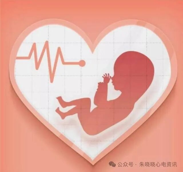 胎儿心电图是什么意思胎儿心电图精要_https://www.jmylbn.com_新闻资讯_第3张