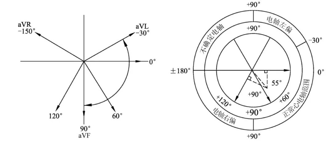什么是同步心电图心电图测量技术指南_https://www.jmylbn.com_新闻资讯_第17张