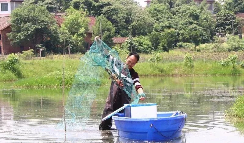 致富经养殖虾_致富经室内养虾视频_致富经养虾