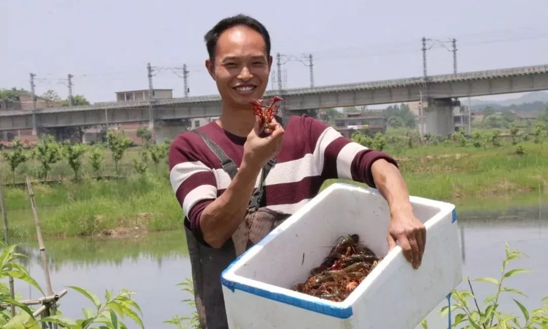 致富经室内养虾视频_致富经养殖虾_致富经养虾