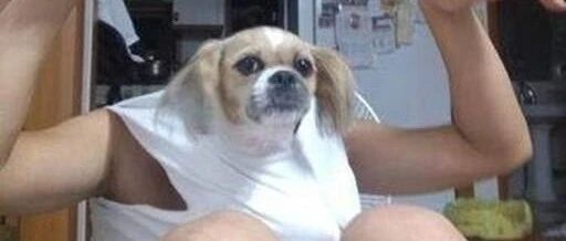 “点个外卖差点笑死...” 哈哈哈哈外卖小哥太野了！