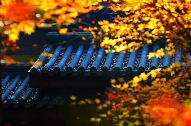 一个优秀女孩该有的恋爱观