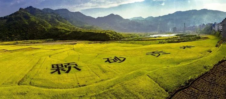 每日农经致富经_农广致富经_致富经每日农经