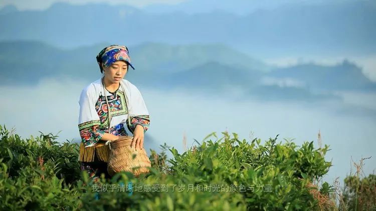 每日农经致富经_农广致富经_致富经每日农经