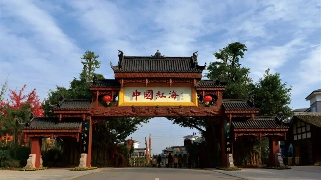 微信图片_2026-04-27_165940_539.jpg