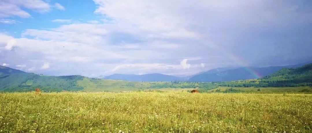 孩子青春期太重要，这8件事父母值得做