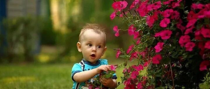 孩子的每一个坏习惯背后，是你没看到的需求