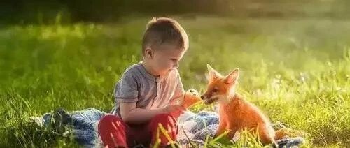 高段位的妈妈，都是家里的定海神针！