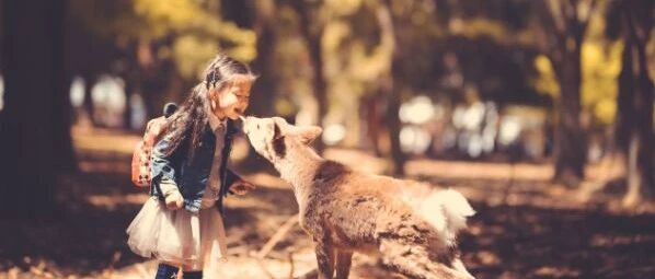致家长：不想害孩子，就别对他太好